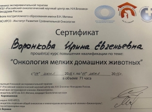 Сертификат ветеринарной клиники